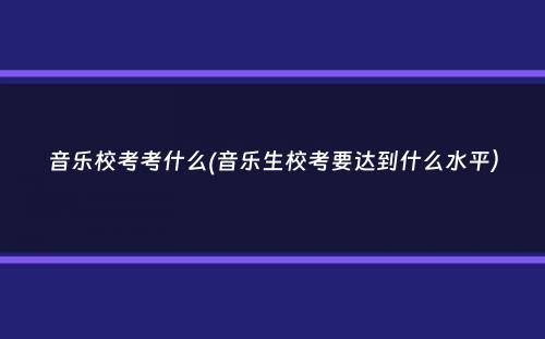 音乐校考考什么(音乐生校考要达到什么水平）