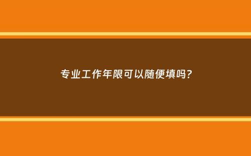 专业工作年限可以随便填吗？