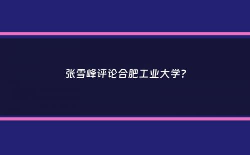 张雪峰评论合肥工业大学？