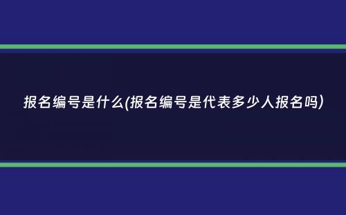 报名编号是什么(报名编号是代表多少人报名吗）