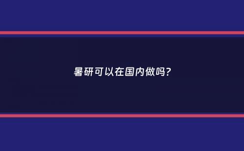 暑研可以在国内做吗？