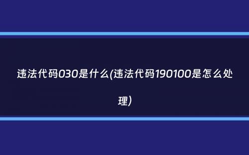 违法代码030是什么(违法代码190100是怎么处理）