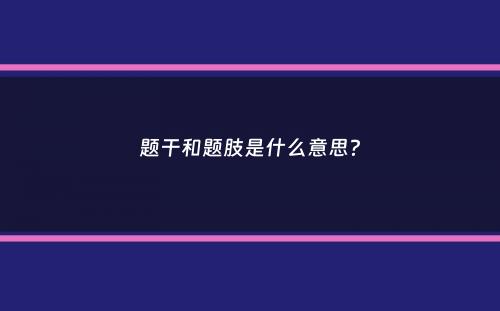 题干和题肢是什么意思？