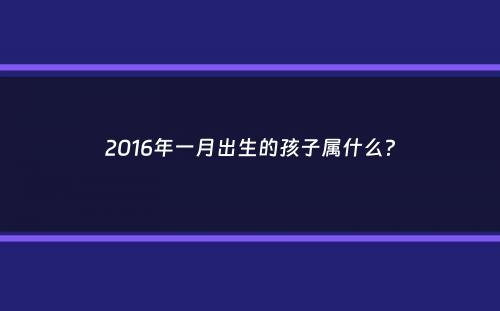 2016年一月出生的孩子属什么？