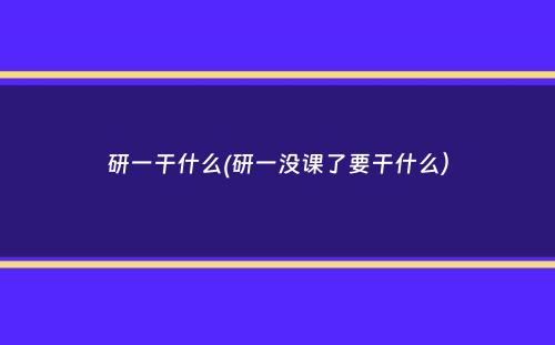 研一干什么(研一没课了要干什么）