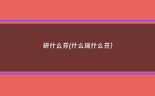 研什么芬(什么瑞什么芬）