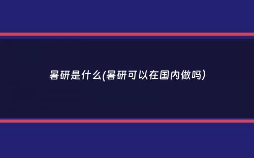 暑研是什么(暑研可以在国内做吗）