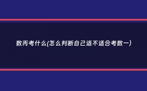 数丙考什么(怎么判断自己适不适合考数一）