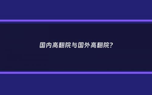 国内高翻院与国外高翻院？