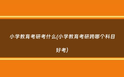 小学教育考研考什么(小学教育考研跨哪个科目好考）