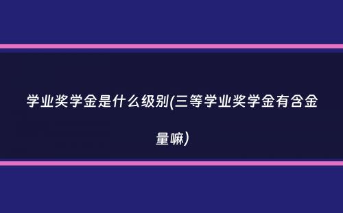 学业奖学金是什么级别(三等学业奖学金有含金量嘛）