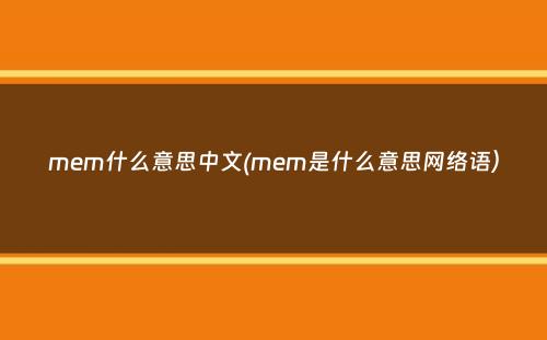 mem什么意思中文(mem是什么意思网络语）