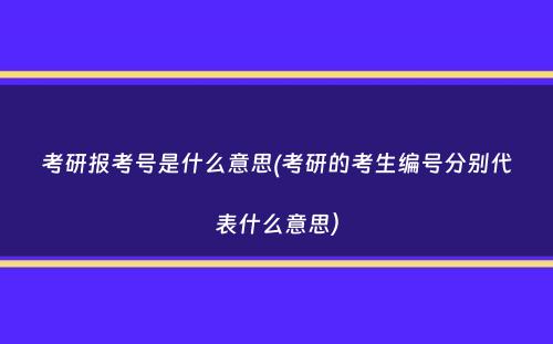 考研报考号是什么意思(考研的考生编号分别代表什么意思）