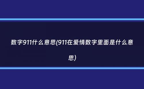 数字911什么意思(911在爱情数字里面是什么意思）