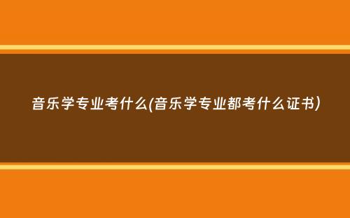 音乐学专业考什么(音乐学专业都考什么证书）