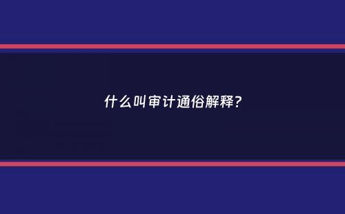 什么叫审计通俗解释？