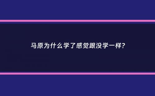 马原为什么学了感觉跟没学一样？