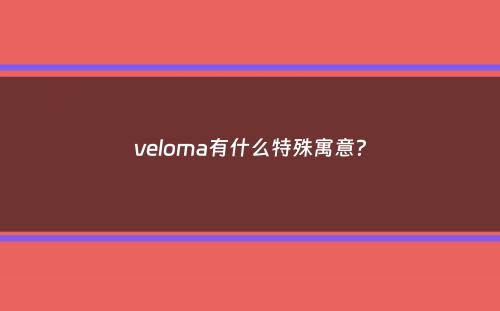 veloma有什么特殊寓意？