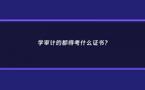 学审计的都得考什么证书？