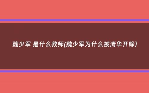 魏少军 是什么教师(魏少军为什么被清华开除）