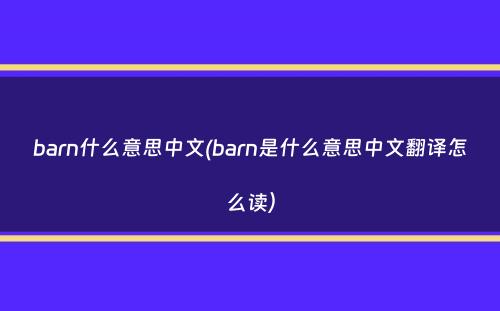 barn什么意思中文(barn是什么意思中文翻译怎么读）