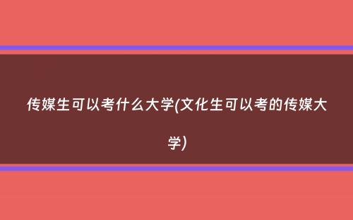 传媒生可以考什么大学(文化生可以考的传媒大学）