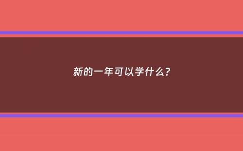 新的一年可以学什么？