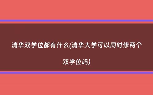 清华双学位都有什么(清华大学可以同时修两个双学位吗）