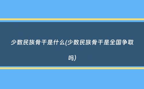 少数民族骨干是什么(少数民族骨干是全国争取吗）