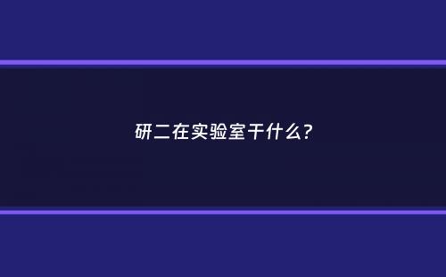 研二在实验室干什么？