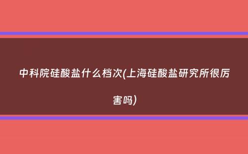 中科院硅酸盐什么档次(上海硅酸盐研究所很厉害吗）