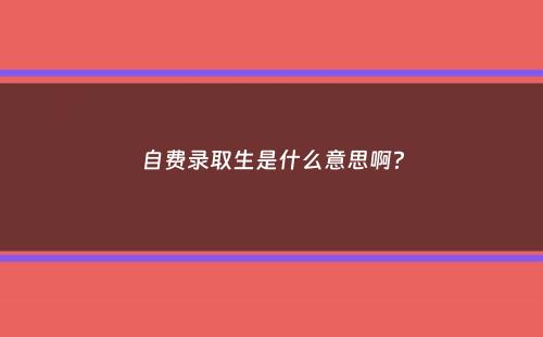 自费录取生是什么意思啊？