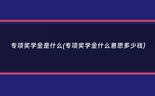 专项奖学金是什么(专项奖学金什么意思多少钱）