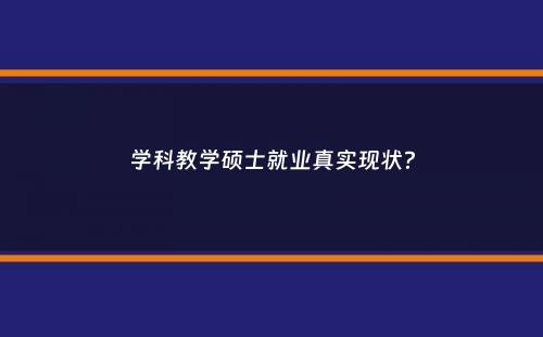 学科教学硕士就业真实现状？