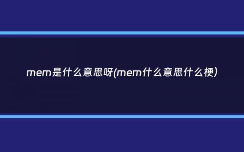 mem是什么意思呀(mem什么意思什么梗）