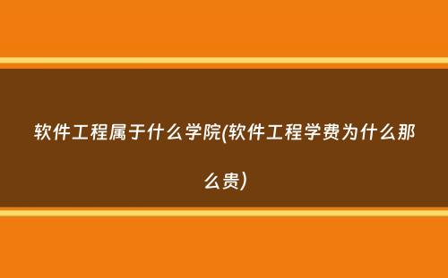 软件工程属于什么学院(软件工程学费为什么那么贵）