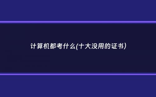 计算机都考什么(十大没用的证书）