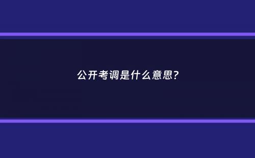 公开考调是什么意思？