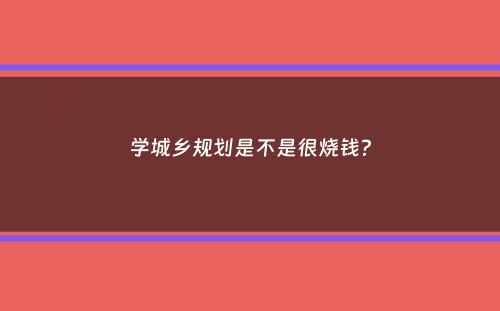 学城乡规划是不是很烧钱？