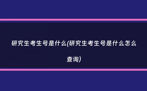 研究生考生号是什么(研究生考生号是什么怎么查询）