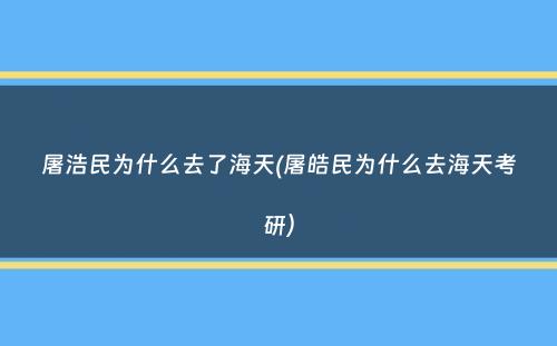 屠浩民为什么去了海天(屠皓民为什么去海天考研）