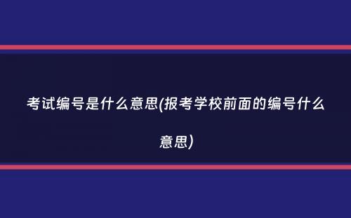 考试编号是什么意思(报考学校前面的编号什么意思）