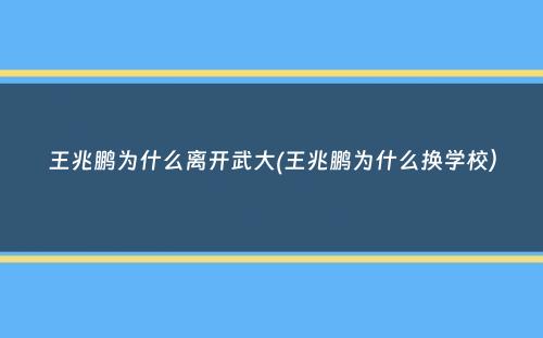 王兆鹏为什么离开武大(王兆鹏为什么换学校）