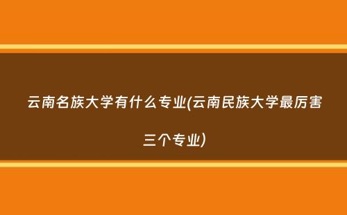 云南名族大学有什么专业(云南民族大学最厉害三个专业）