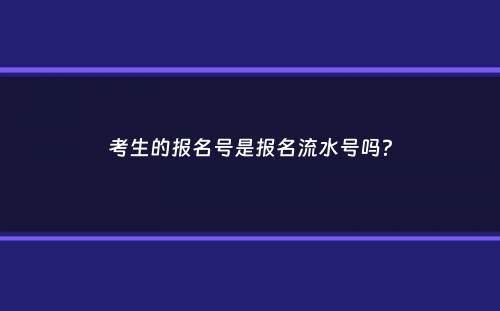 考生的报名号是报名流水号吗？