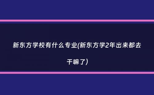 新东方学校有什么专业(新东方学2年出来都去干嘛了）