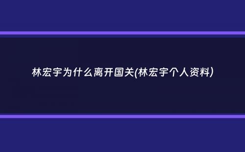 林宏宇为什么离开国关(林宏宇个人资料）