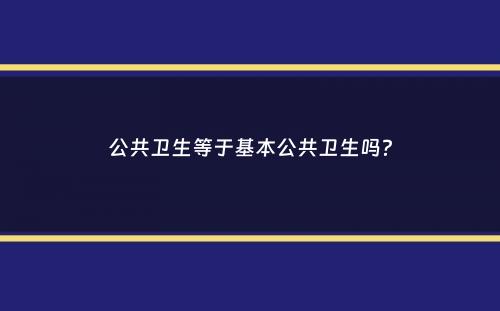 公共卫生等于基本公共卫生吗？