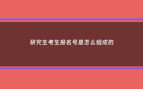 研究生考生报名号是怎么组成的