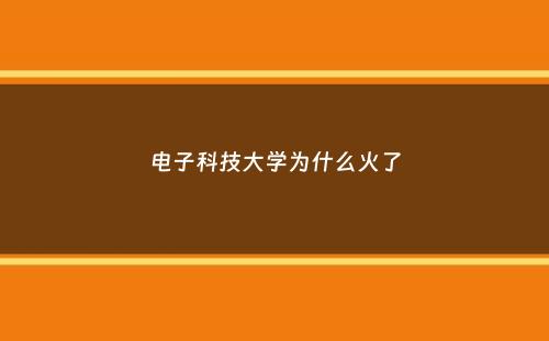 电子科技大学为什么火了